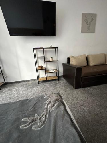 Апартхотел Флора 213Б, Borovets