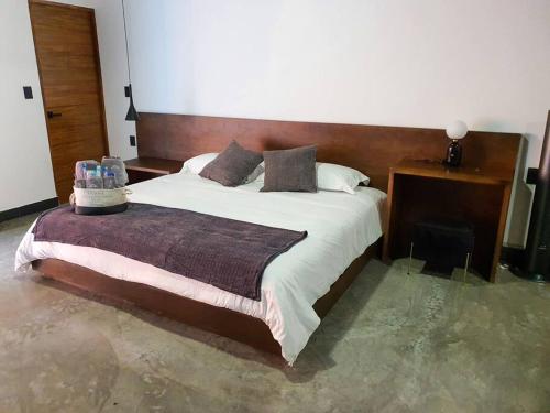 Loft platino en excelente ubicación! in San Luis Potosí, Mexico