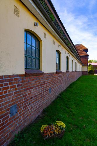 FeWo mit Pferdeboxen, Paddock und Weide in der Lüneburger Heide