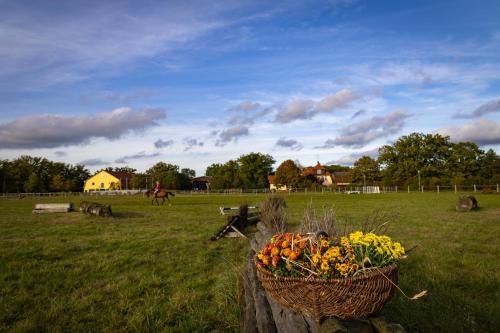 FeWo mit Pferdeboxen, Paddock und Weide in der Lüneburger Heide