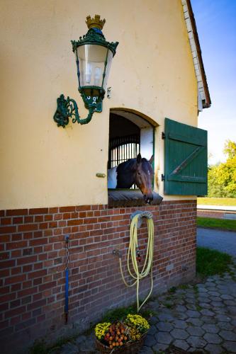 FeWo mit Pferdeboxen, Paddock und Weide in der Lüneburger Heide