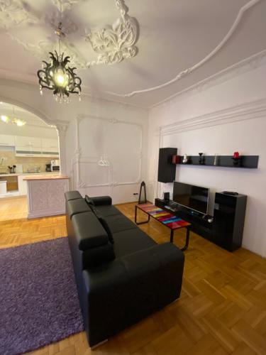 HearT of the city 2 bedrooms, living rooms, bathrooms, with AC, Budapeszt (zdjęcie 9)