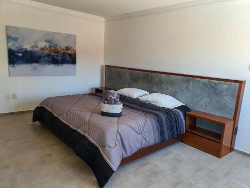 Departamento con estilo y excelente ubicación in San Luis Potosí, Mexico