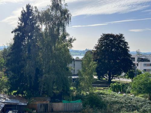  Quickmove Paffikon in Pfäffikon ZH