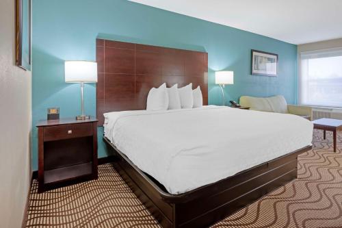 Best Western Plus Lonoke Hotel - image 14