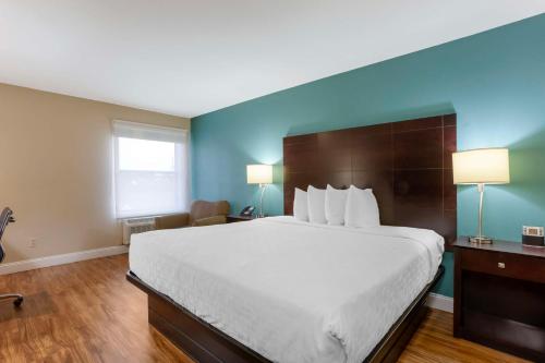 1 king bed