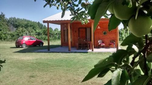 Cabañas RoFran (Cabanas RoFran) in La Consulta San Carlos Mendoza