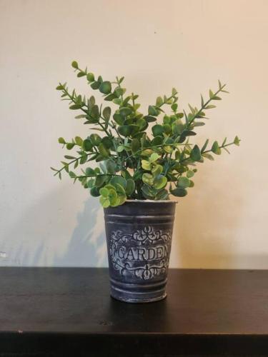 Beautiful beach front entire condo