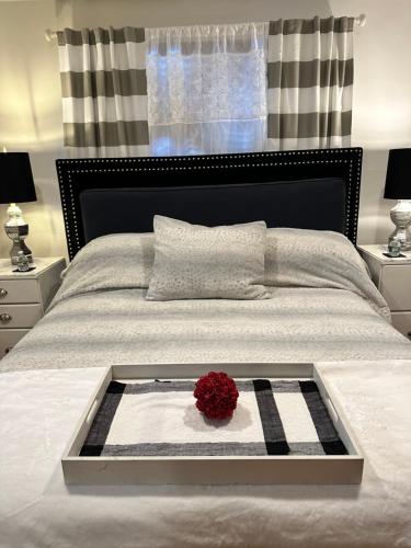 Welcoming Private Suite with French Touches in Union, USA