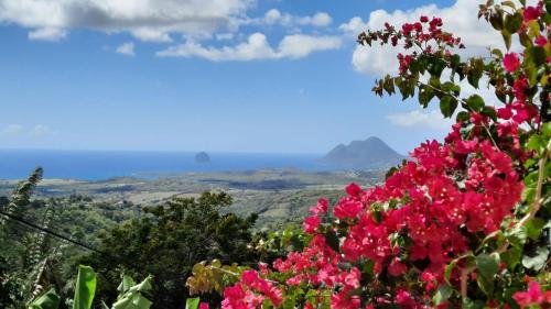 Nid d'Aigle Tropical - Location saisonnière - Rivière-Salée