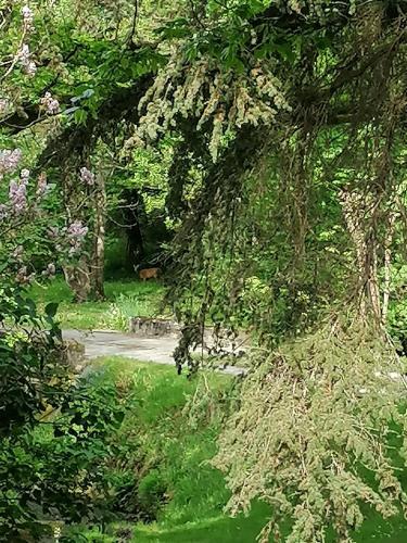 Le moulin du Mesnil