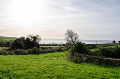 Cedarblue, Dungarvan (zdjęcie 8)