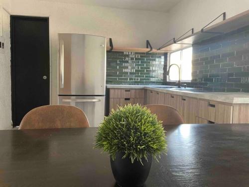 Comfy apartment just a few steps from the beach in Cabo San Lucas, Mexico