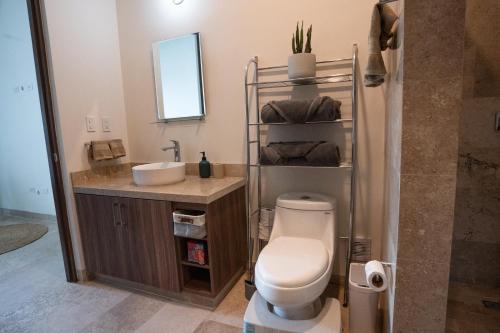 Luxury Apartment with Swimming Pool and Gym in Los Cabos in San José del Cabo, Mexico
