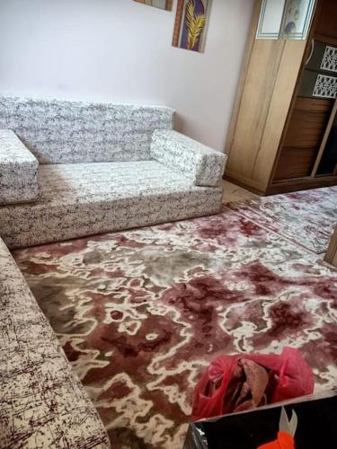 جناح فندقي أمام جامعة المنصورة, Mansoura (foto 7)