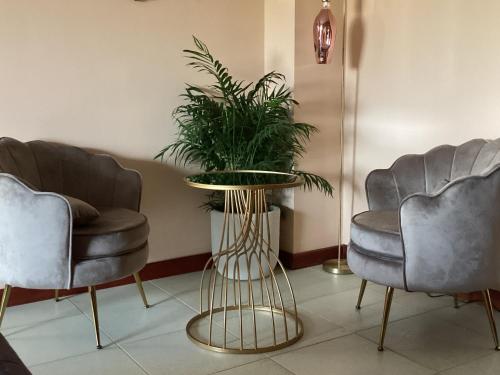 B&B Verdi 3
