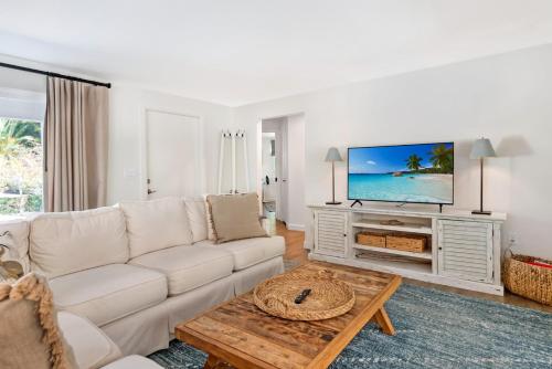 265 Gladiolus Home - image 8