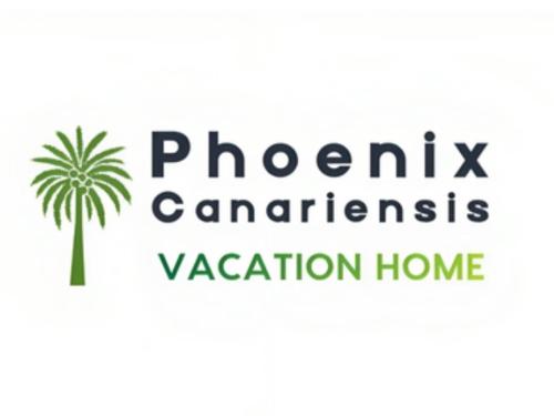 Phoenix Canariensis