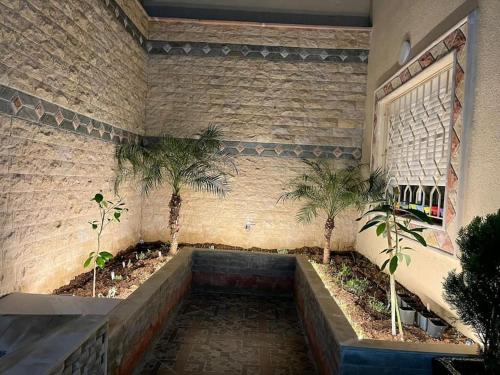 Lixus Appartement- 1h Stadion & Airport Tanger in Larache