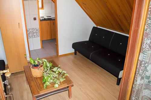 Arc de Bará Camping & Bungalows - image 4