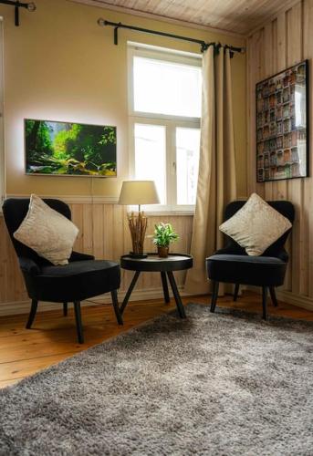 Garden Studio next to Telliskivi & Old Town, Tallin (foto 8)