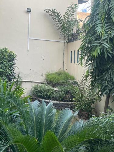 Jardín, Warraich villa gt raod gujrat entire in Gujrat (Punjab)