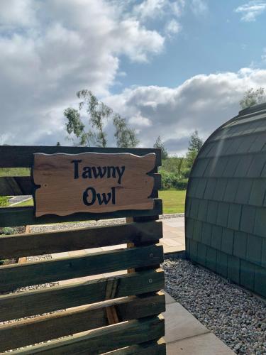 Tawny Owl Pod with Hot Tub
