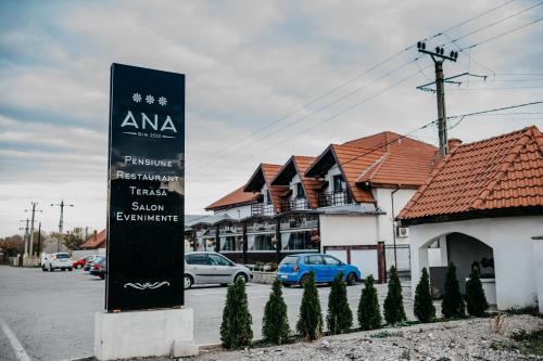 PENSIUNEA ANA - Hotel - Piatra Neamţ