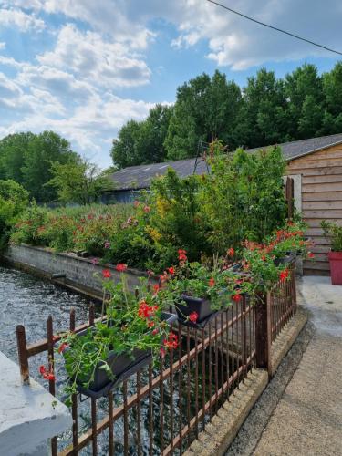 Изглед, Gîte du moulin, au bord de l'eau (Gite du moulin, au bord de l'eau) in Saigneville