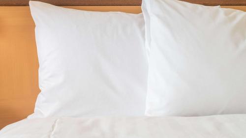 Sonesta Simply Suites Parsippany Morris Plains - image 5