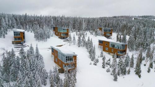 Les Chalets-Forêt du Massif