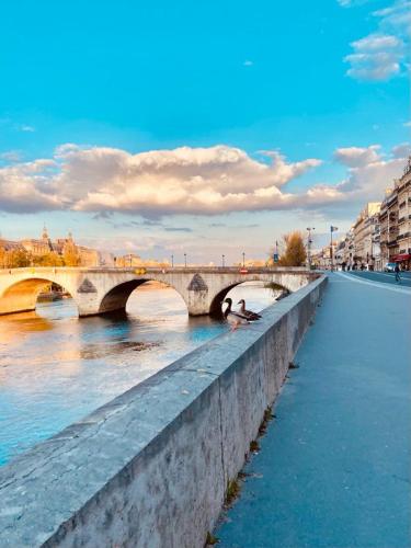 Urban Flat 67 - Spacious Parisian Flat in Paris - image 8