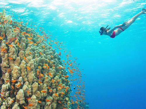 Kinazi Upepo Beach Eco Lodge