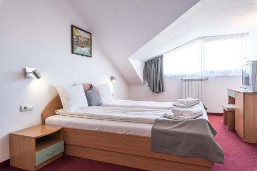 Hotel Iceberg Bansko – Bansko, NC