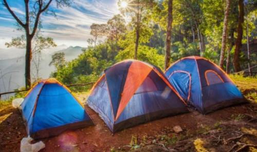 EcoCamp TV Crista Web in Suape