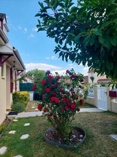 Maison d'une chambre avec jardin et wifi a Roissy en Brie