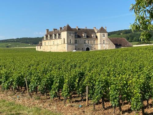 AU COEUR DU VIGNOBLE BOURGUIGNON ET DES MARANGES