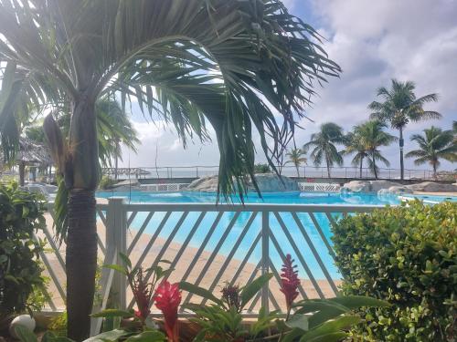 Alizea appartement 1 ere ligne vue mer et plage 4