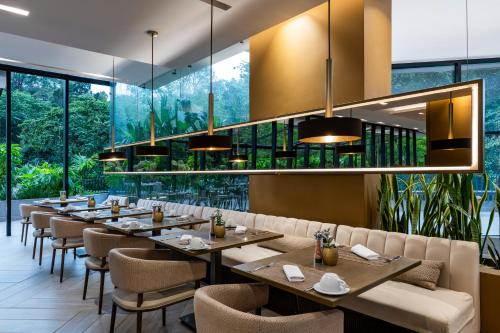 York Medellin, Curio Collection by Hilton, Medellín (fotografie 9)