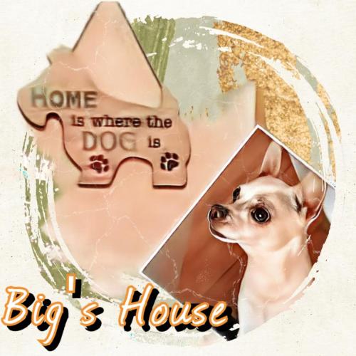 Big's house