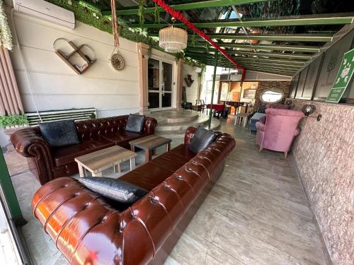 DR. GREENS - 편의 시설/서비스