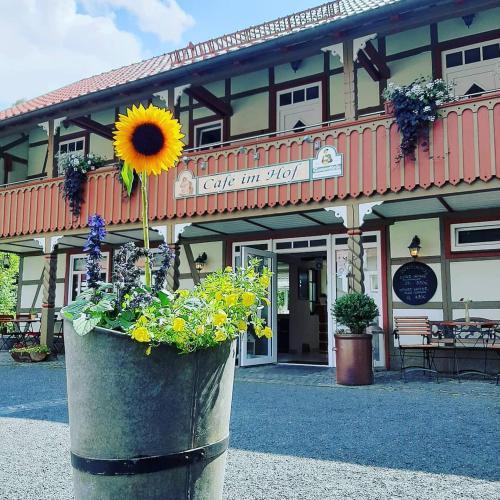 Cafe im Hof- Bed & Breakfast in Straufhain
