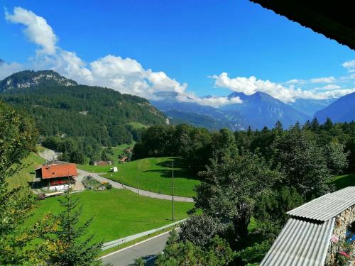 Gemütliche FeWo mit Sauna inmitten der Berge - Apartment - Meiringen - Hasliberg