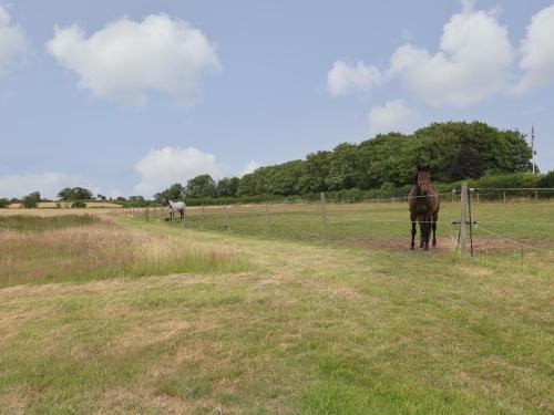 Willow Lodge Willow Lodge