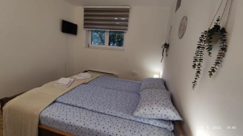 Ski lift apartman dm Brzeće