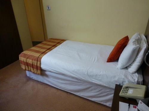 OYO Flagship The Bridge House - image 9