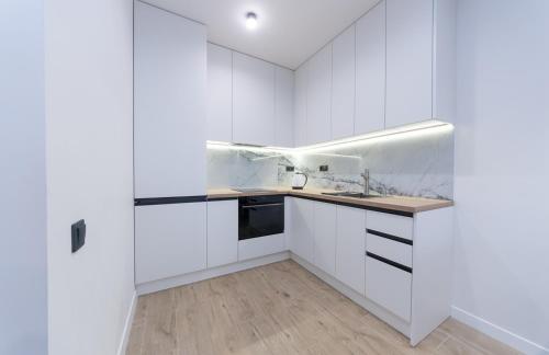 One-Bedroom Apartment image 3