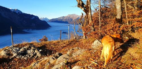 Gemütliche FeWo mit Sauna inmitten der Berge