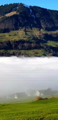 Gemütliche FeWo mit Sauna inmitten der Berge