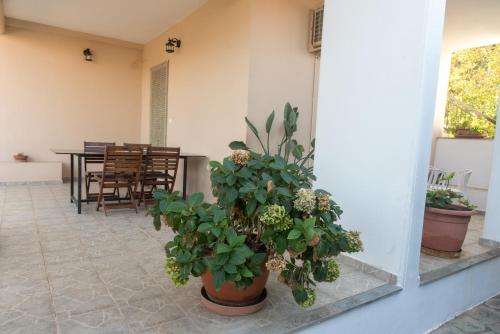 OAK apartment - Garden, Monodri